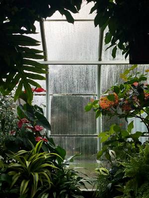 stained, dirty window